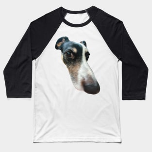 big nose dog funny meme Baseball T-Shirt